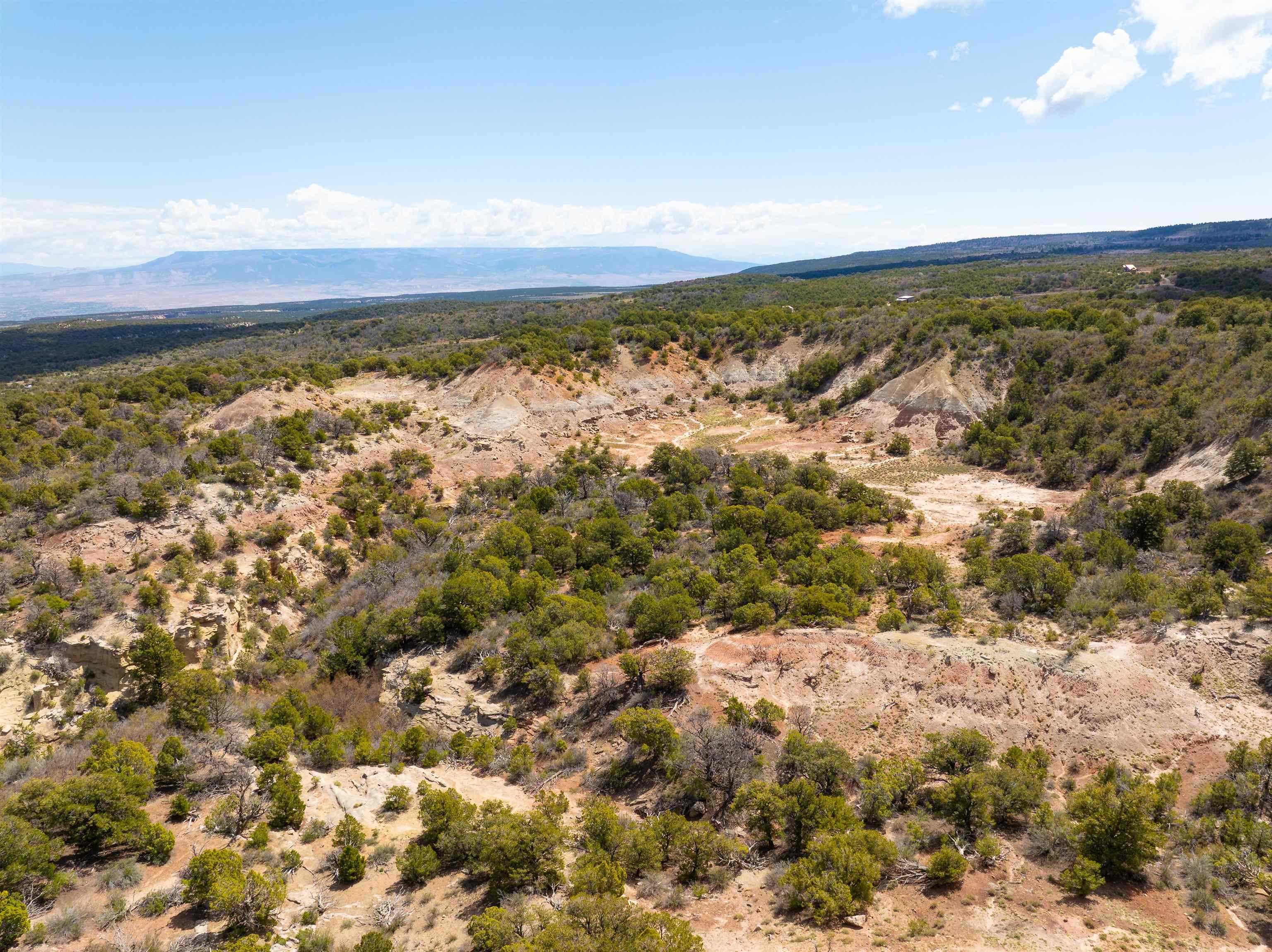 4-5 & 6 Elk Ranch Road Glade Park, CO 81523 - Photo 5 of 33 a view of an ocean