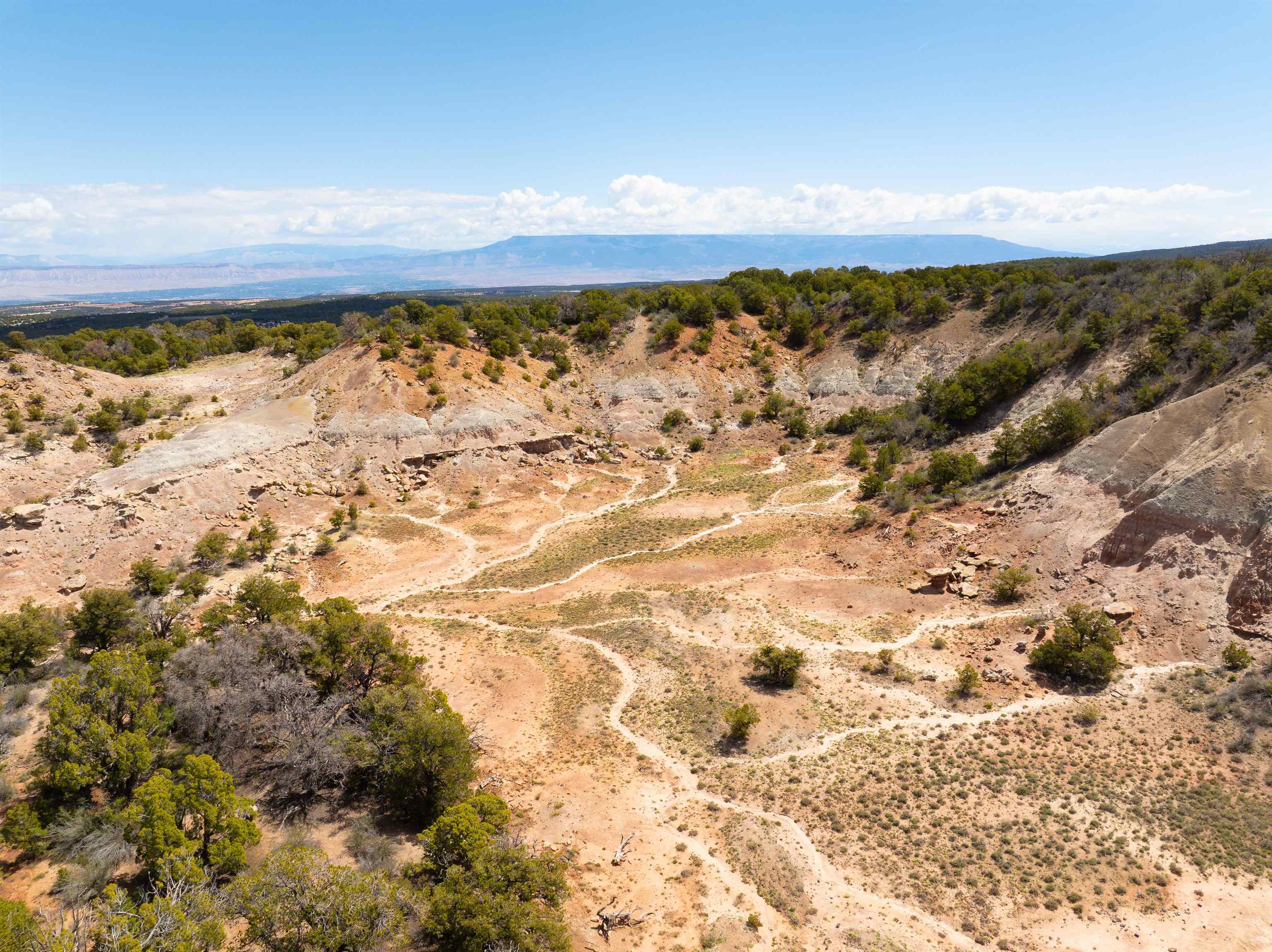 4-5 & 6 Elk Ranch Road Glade Park, CO 81523 - Photo 6 of 33