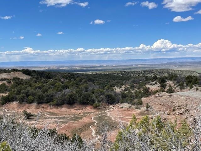 4-5 & 6 Elk Ranch Road Glade Park, CO 81523 - Photo 7 of 33 a view of mountain view with wooden floor
