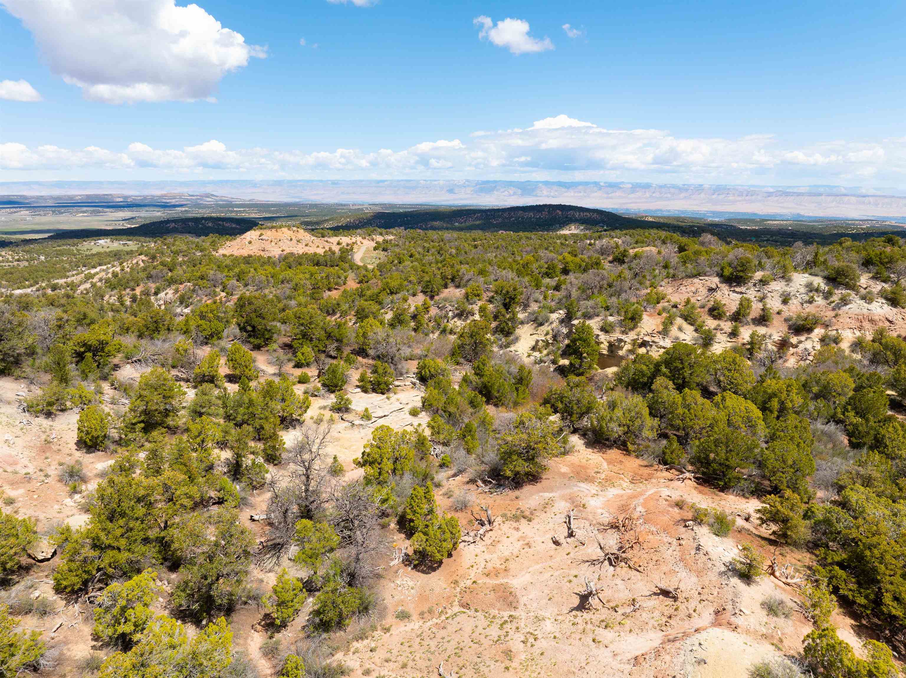 4-5 & 6 Elk Ranch Road Glade Park, CO 81523 - Photo 8 of 33