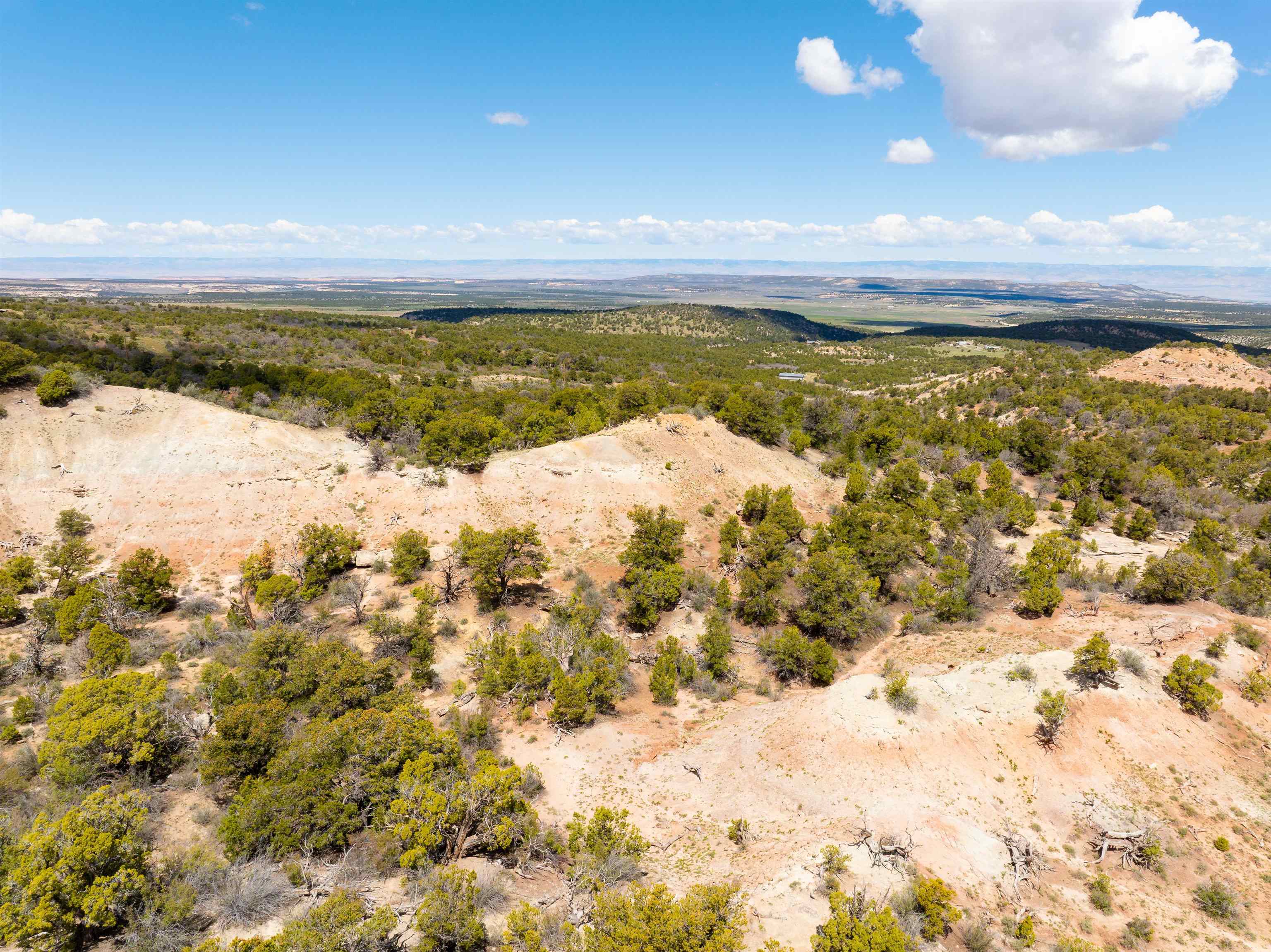 4-5 & 6 Elk Ranch Road Glade Park, CO 81523 - Photo 9 of 33 a view of an ocean