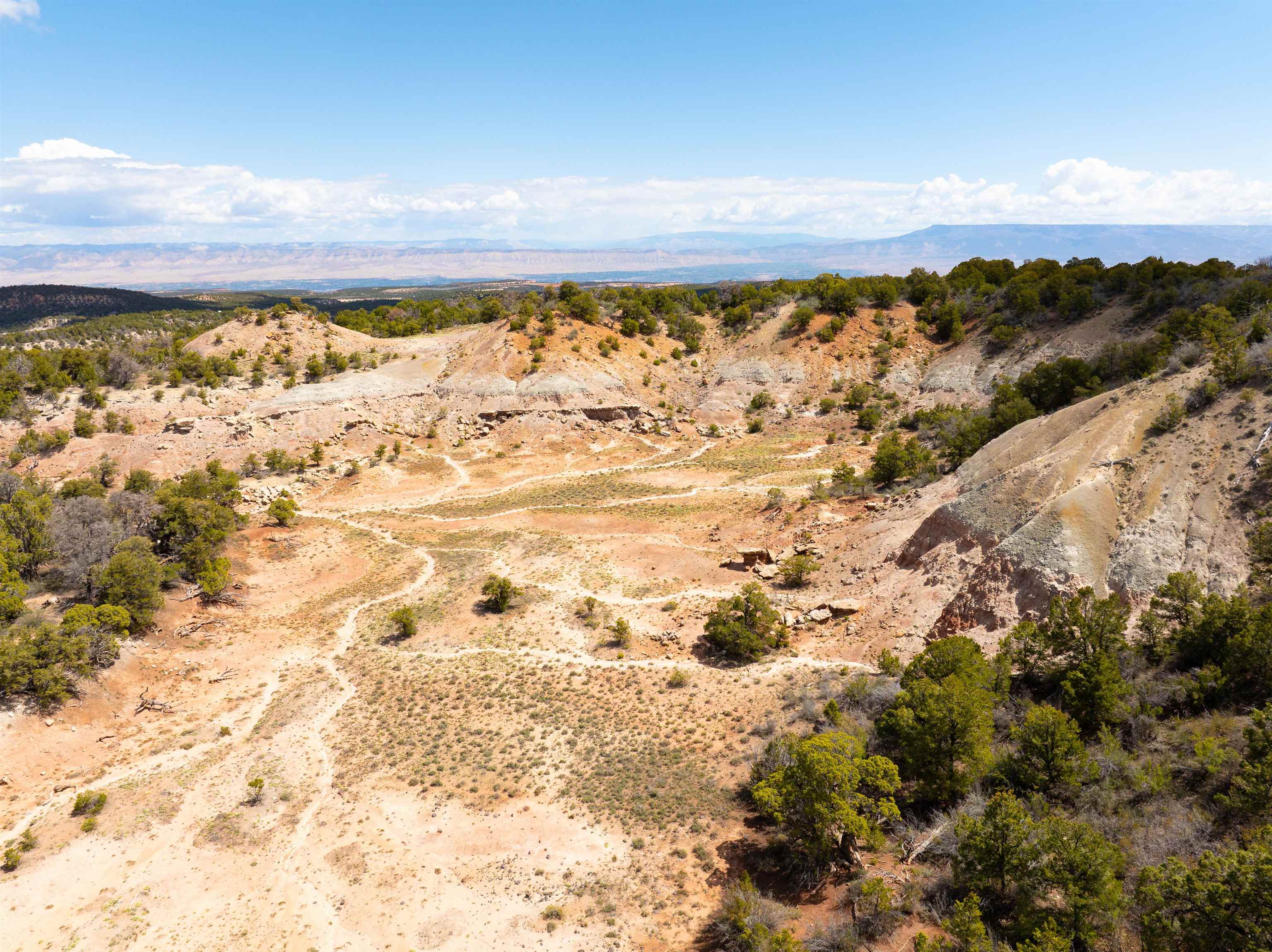 4-5 & 6 Elk Ranch Road Glade Park, CO 81523 - Photo 10 of 33