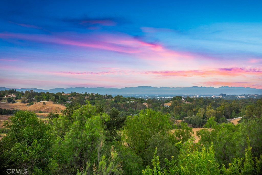 24965 Kit Carson Road Hidden Hills, CA 91302 - Photo 28 of 48