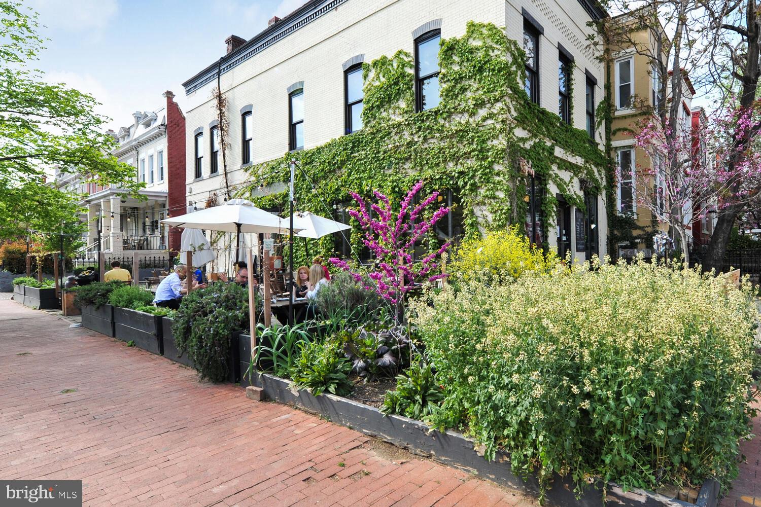 125 Randolph Place Northwest Washington, DC 20001 - Photo 46 of 51 Big Bear Cafe Right Around the Corner