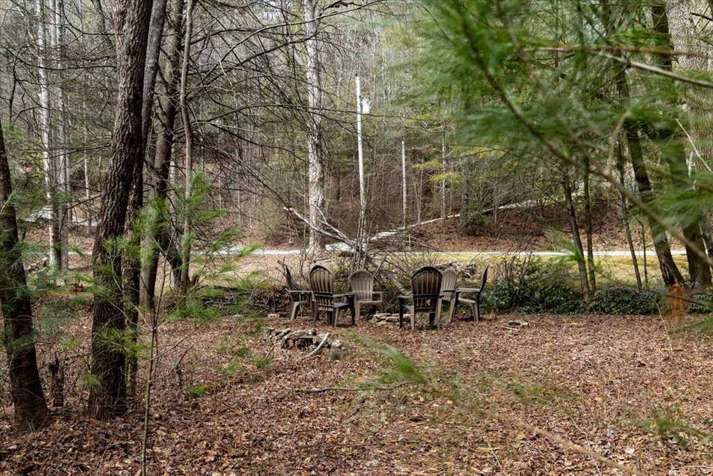 1819 Stanley Creek Road Cherry Log, GA 30522 - Photo 14 of 94 Gallery Image 14