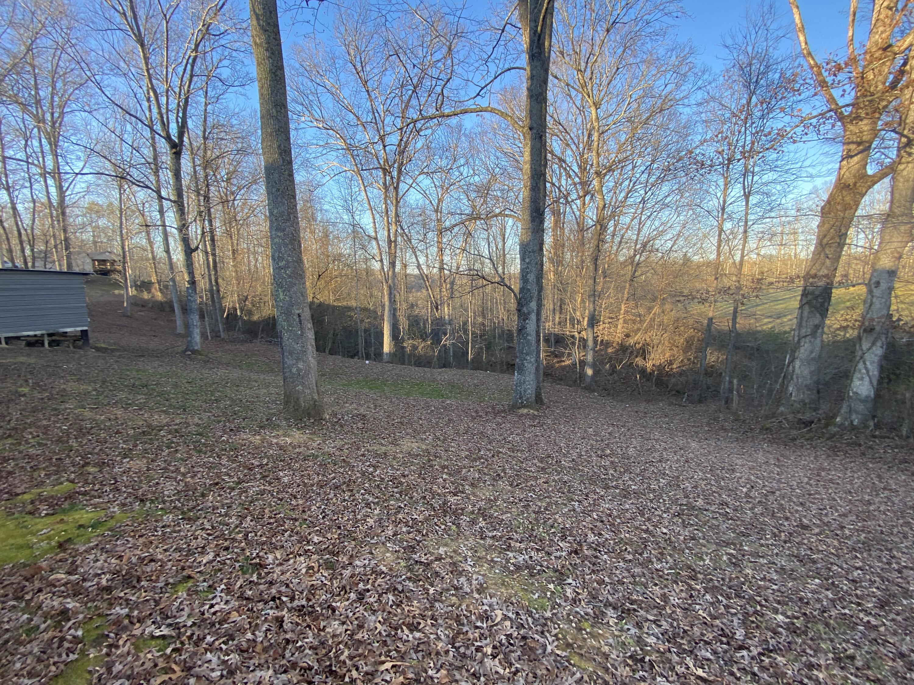 150 Wagon Ridge Road Stearns, KY 42647 - Photo 19 of 31 IMG_4653