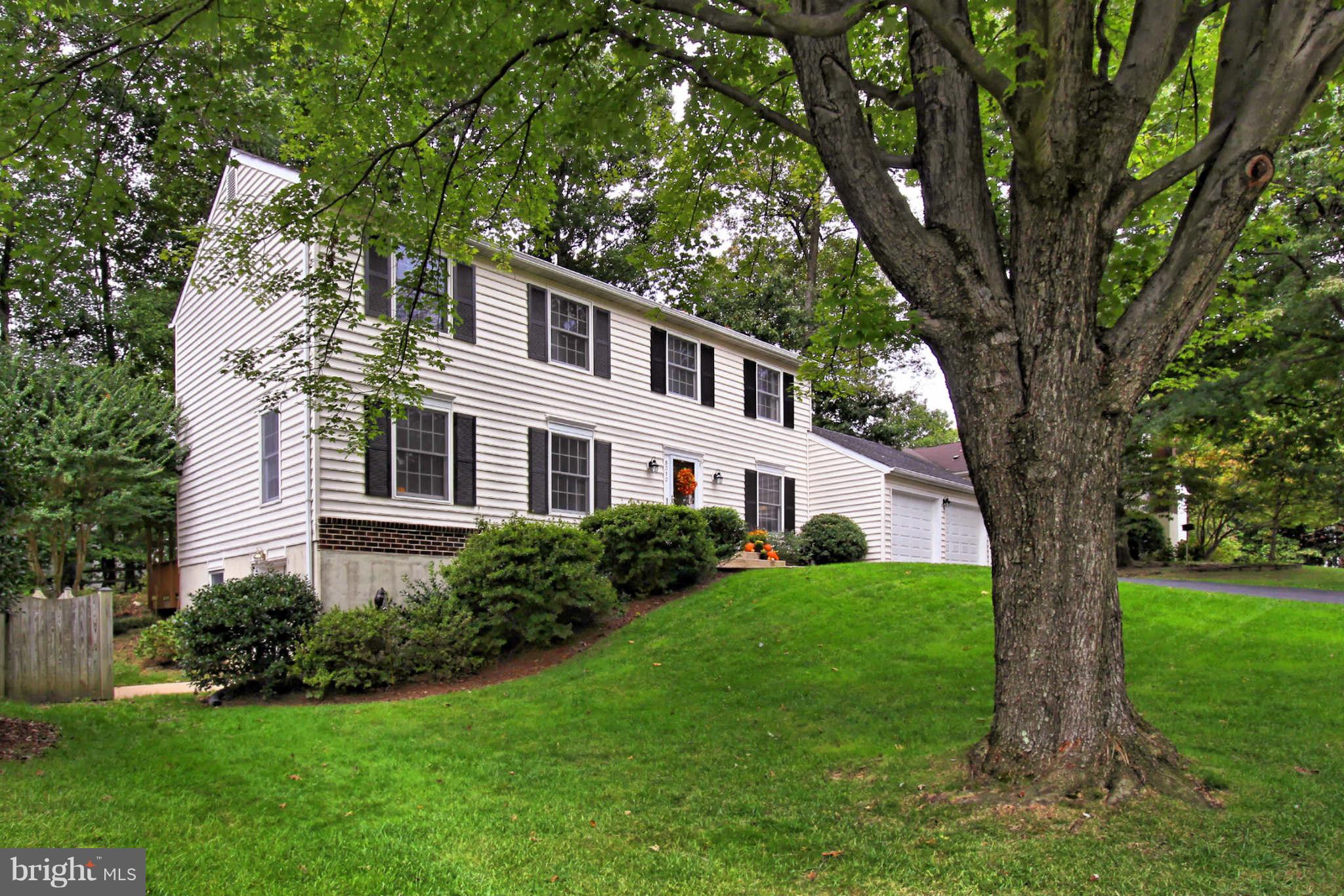 8312 Magic Leaf Road Springfield, VA 22153 - Photo 1 of 30 Framed in the Trees