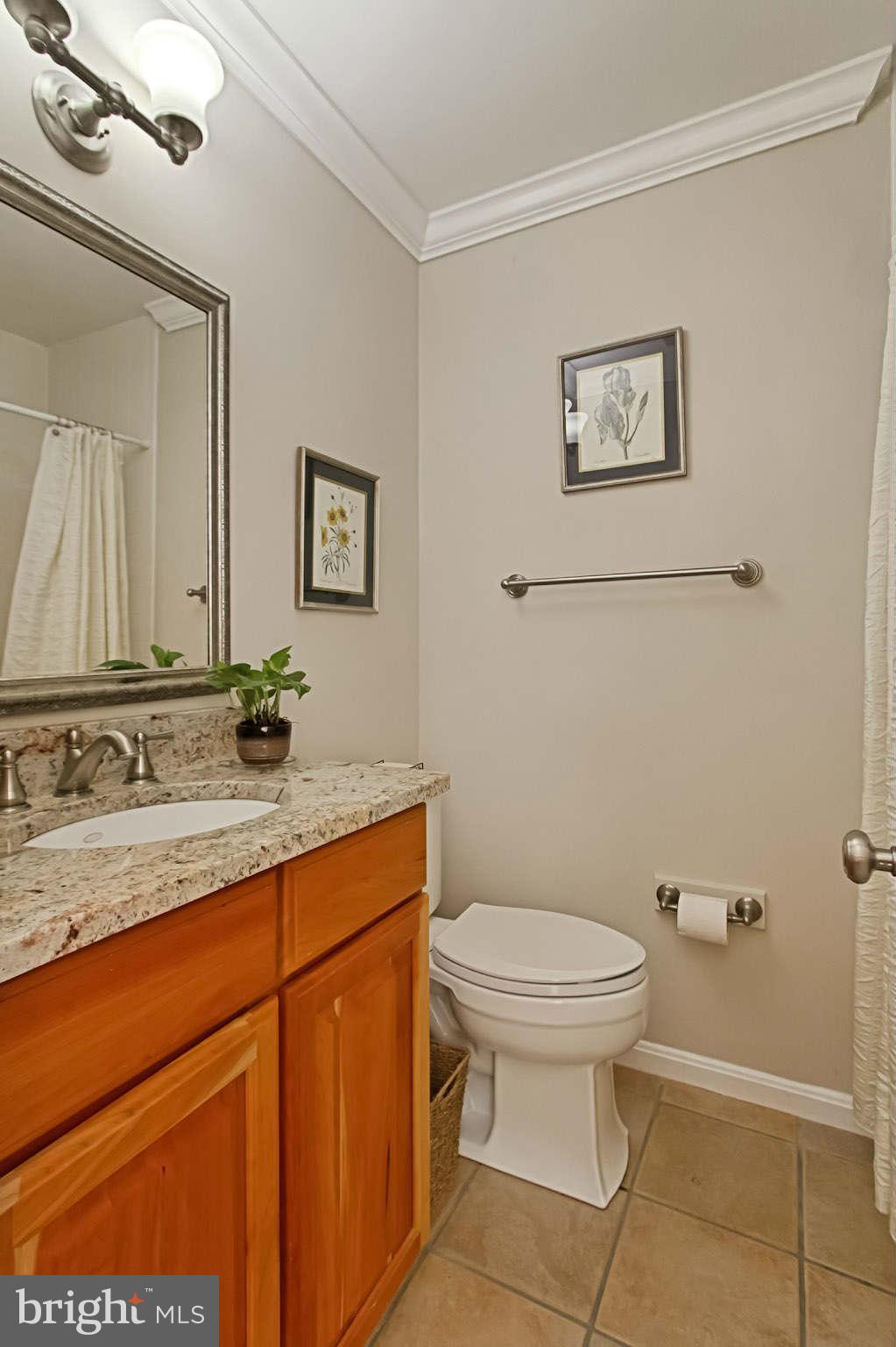 8312 Magic Leaf Road Springfield, VA 22153 - Photo 12 of 30 Bath