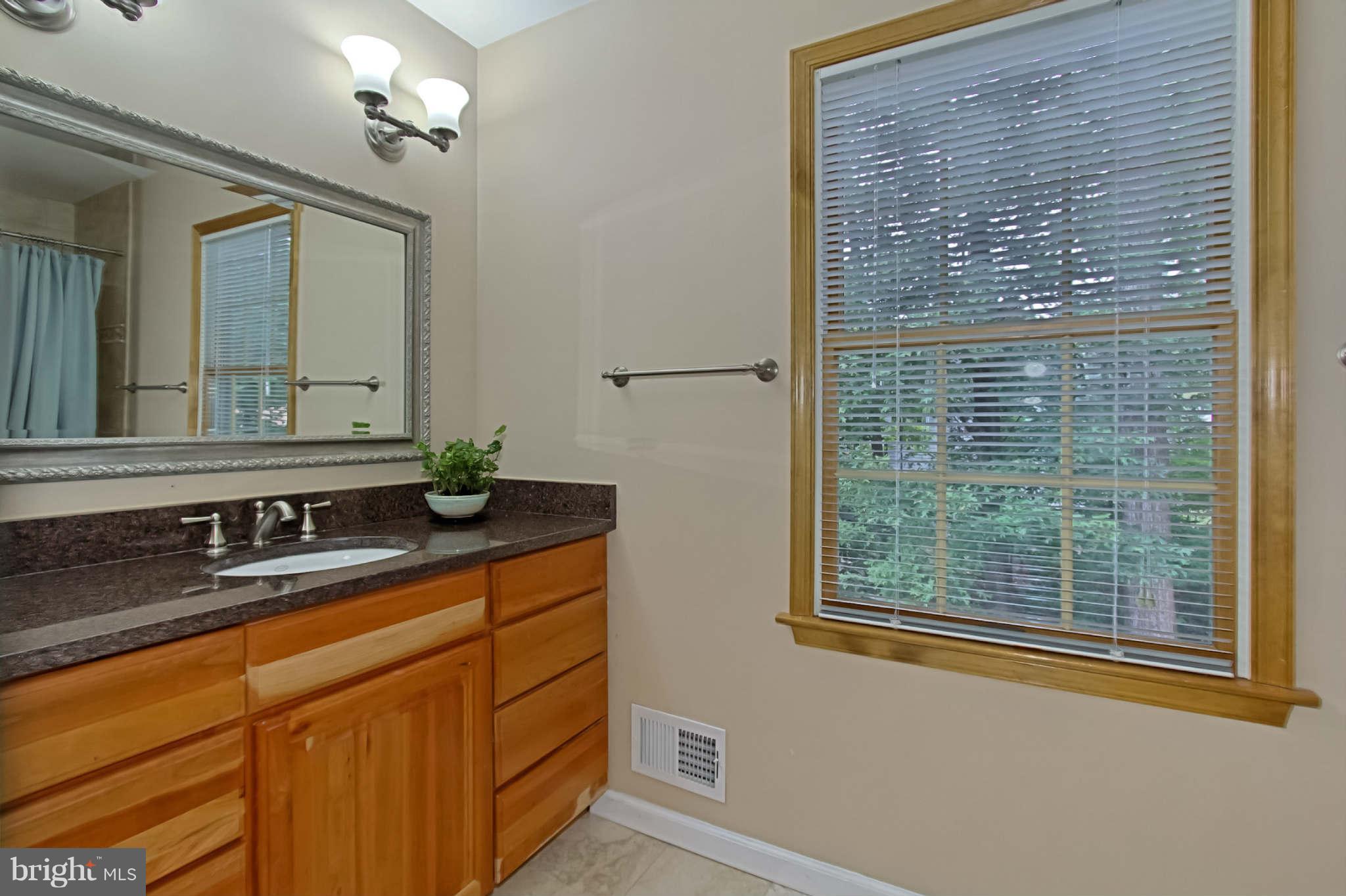 8312 Magic Leaf Road Springfield, VA 22153 - Photo 16 of 30 Bath