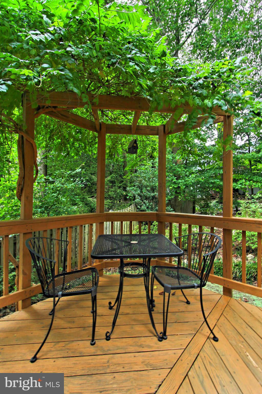 8312 Magic Leaf Road Springfield, VA 22153 - Photo 27 of 30 Charming Arbor