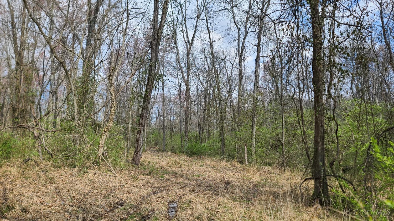 3394 Patterson Road Bethel, OH 45106 - Photo 6 of 7