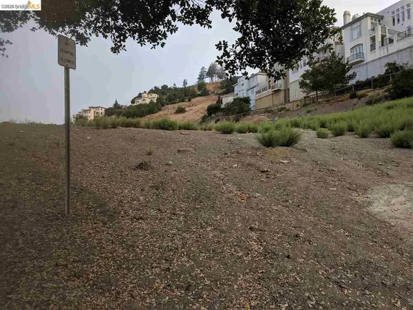 a view of a dry yard with trees