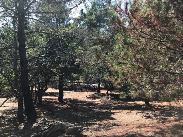 $39,000 | 0 Tully Place, Cambria, CA 93428