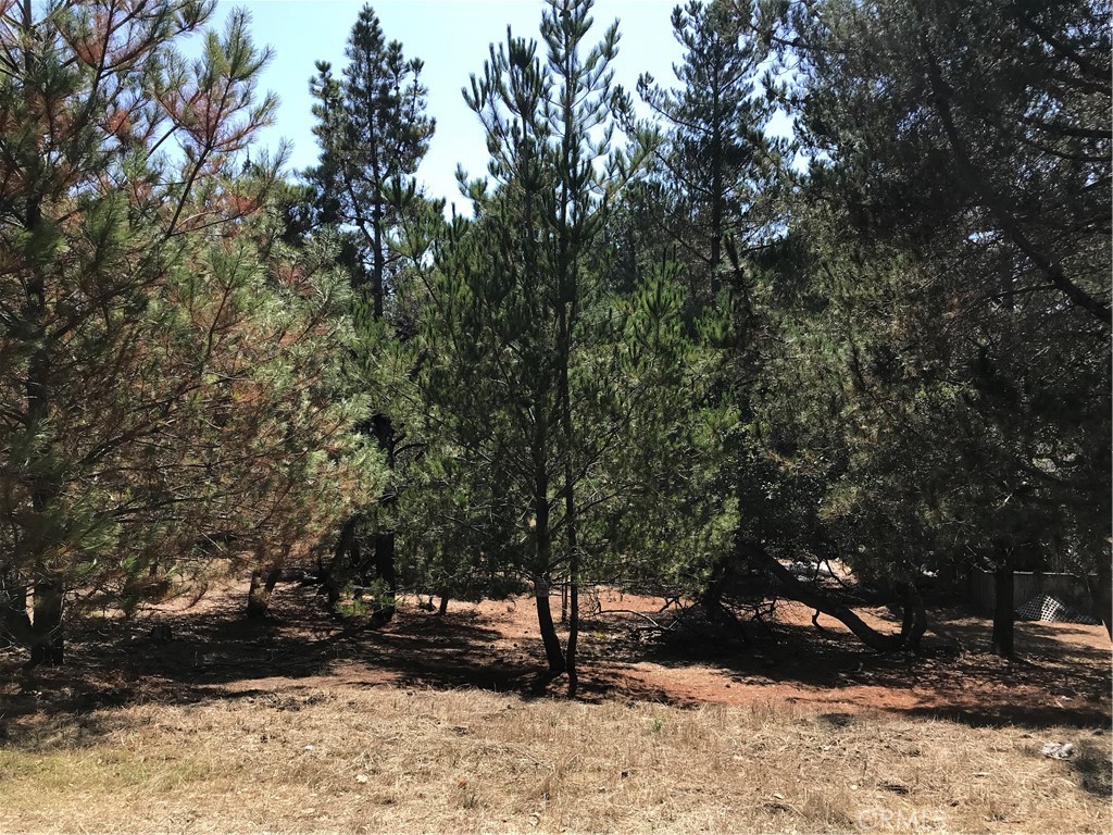 0 Tully Place Cambria, CA 93428 - Photo 6 of 6 Suuny location, low traffic area.