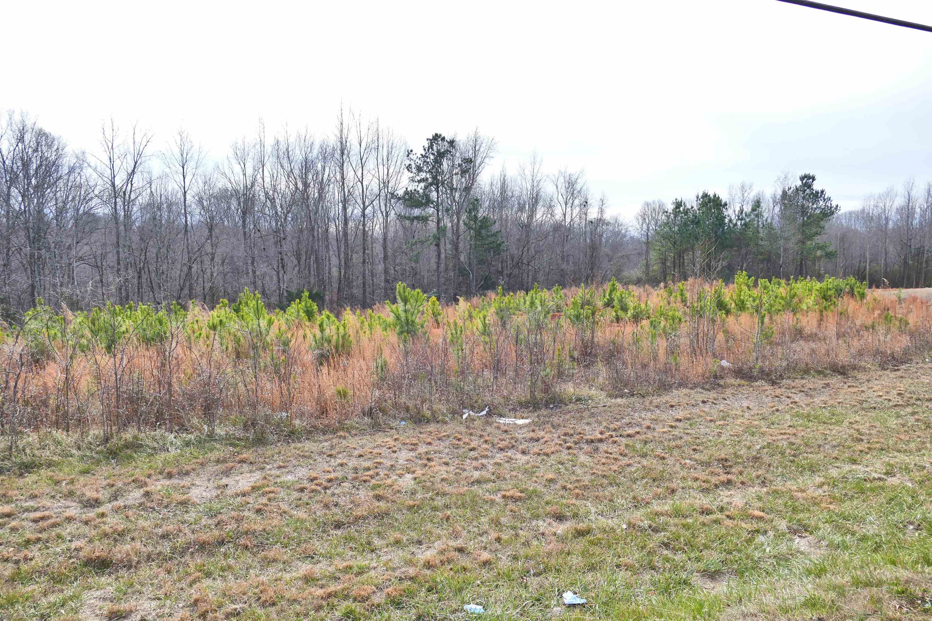 641 Pacolet Highway Gaffney, SC 29340 - Photo 2 of 5