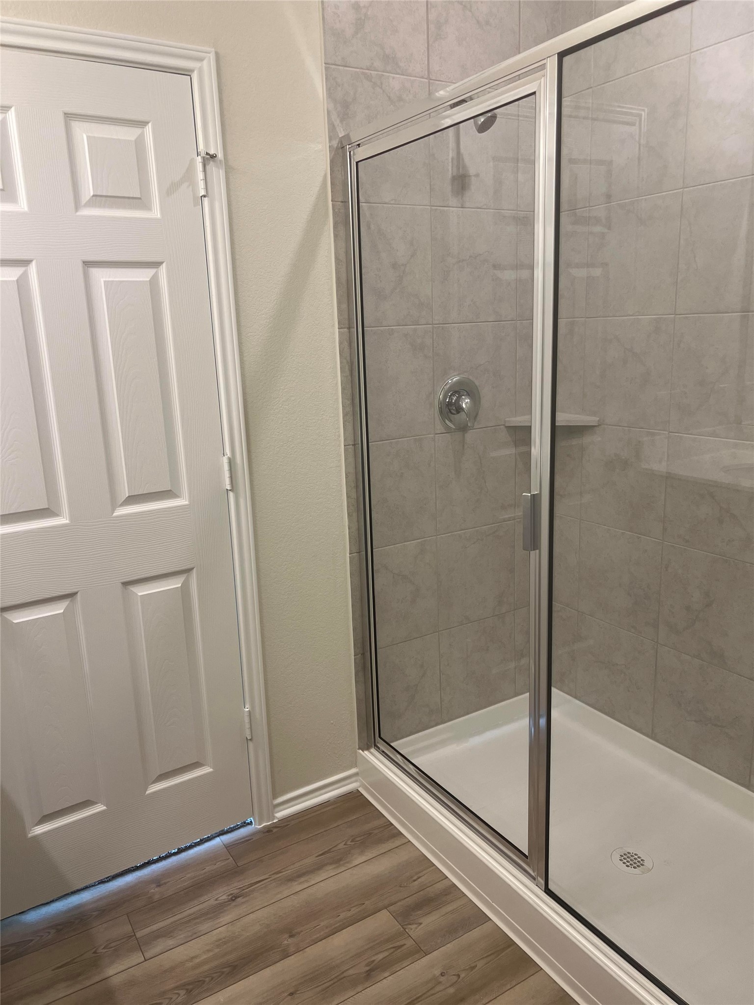 427 Tree Nut Loop Buda, TX 78610 - Photo 19 of 38 a bathroom with a glass shower door