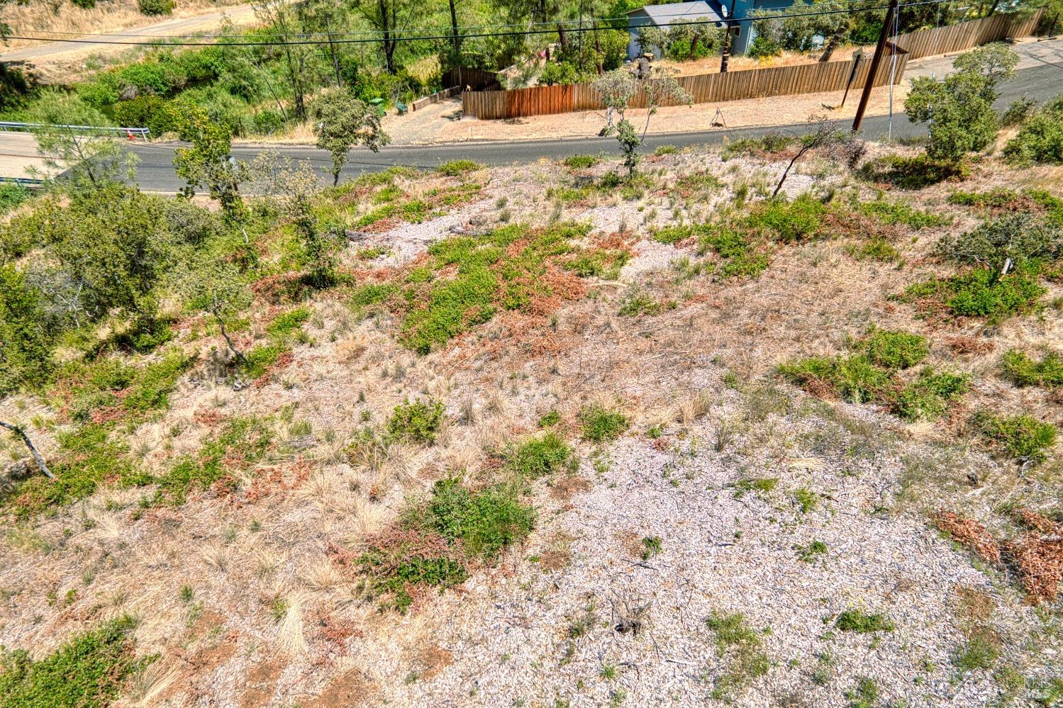 2163 Stagecoach Canyon Road Pope Valley, CA 94567 - Photo 12 of 22 a view of a yard with a tree