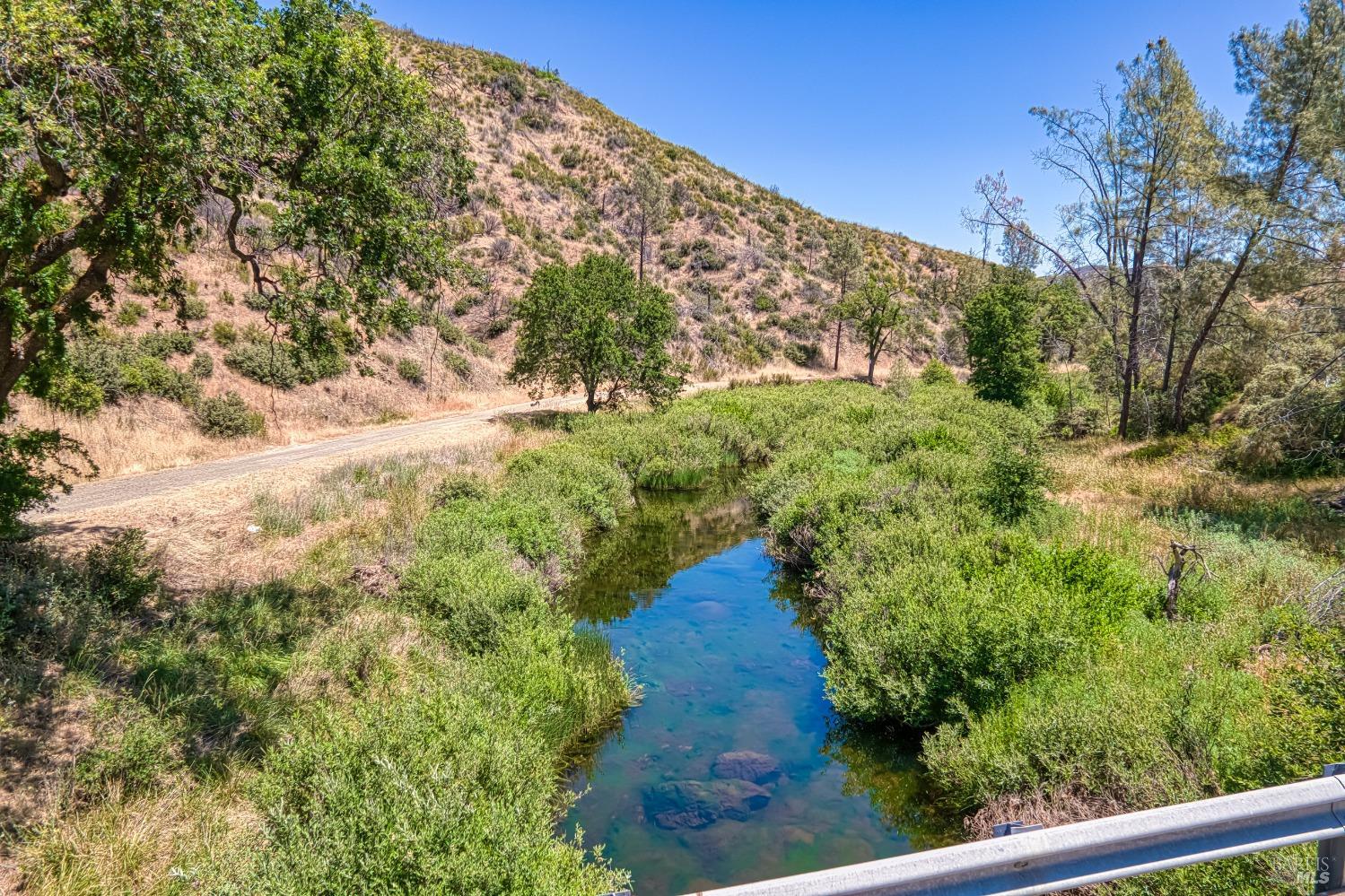 2163 Stagecoach Canyon Road Pope Valley, CA 94567 - Photo 14 of 22 a view of a yard with plants and a bench