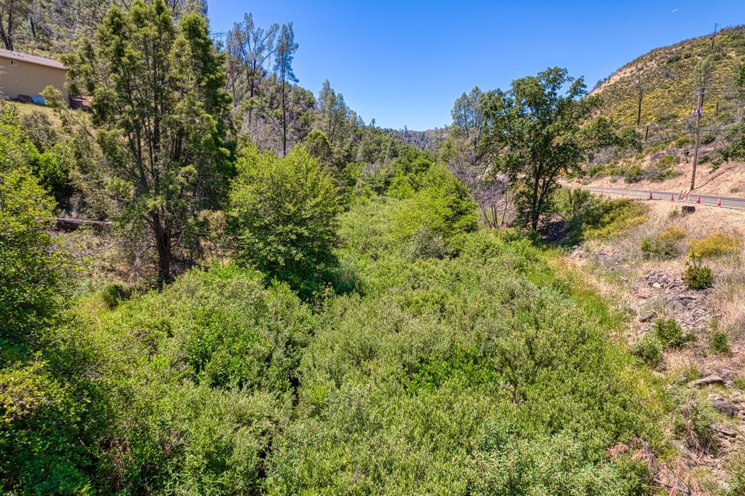 2163 Stagecoach Canyon Road Pope Valley, CA 94567 - Photo 15 of 22 a view of a large yard with lots of bushes