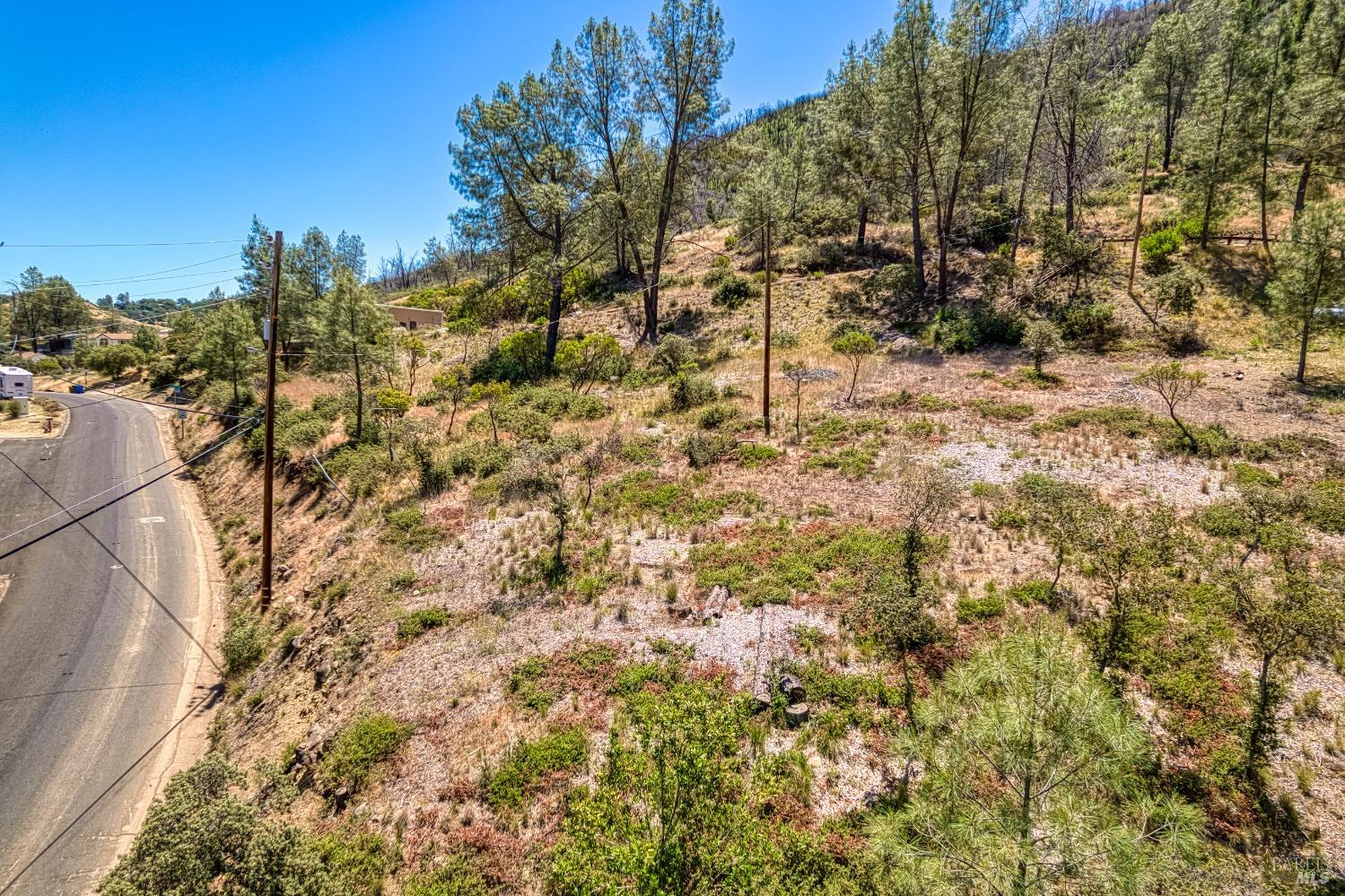 2163 Stagecoach Canyon Road Pope Valley, CA 94567 - Photo 2 of 22 a view of a yard with a tree