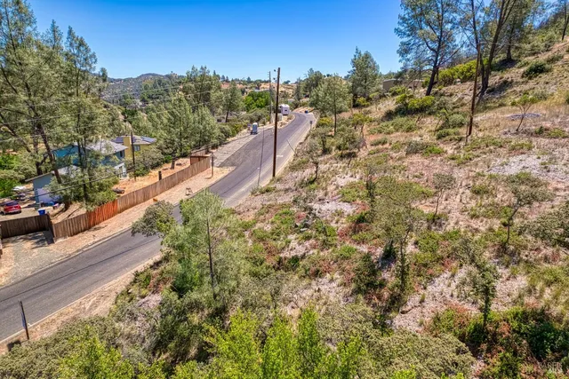 a view of a city with lush green forest