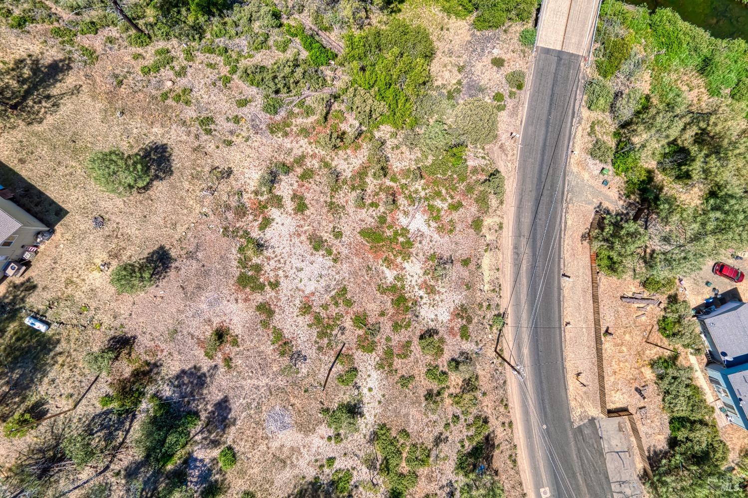 2163 Stagecoach Canyon Road Pope Valley, CA 94567 - Photo 9 of 22 a close up of a plant with a plant