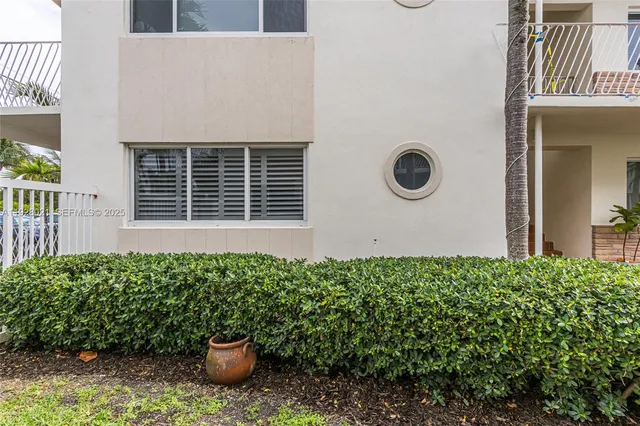 a view of a backyard with plants