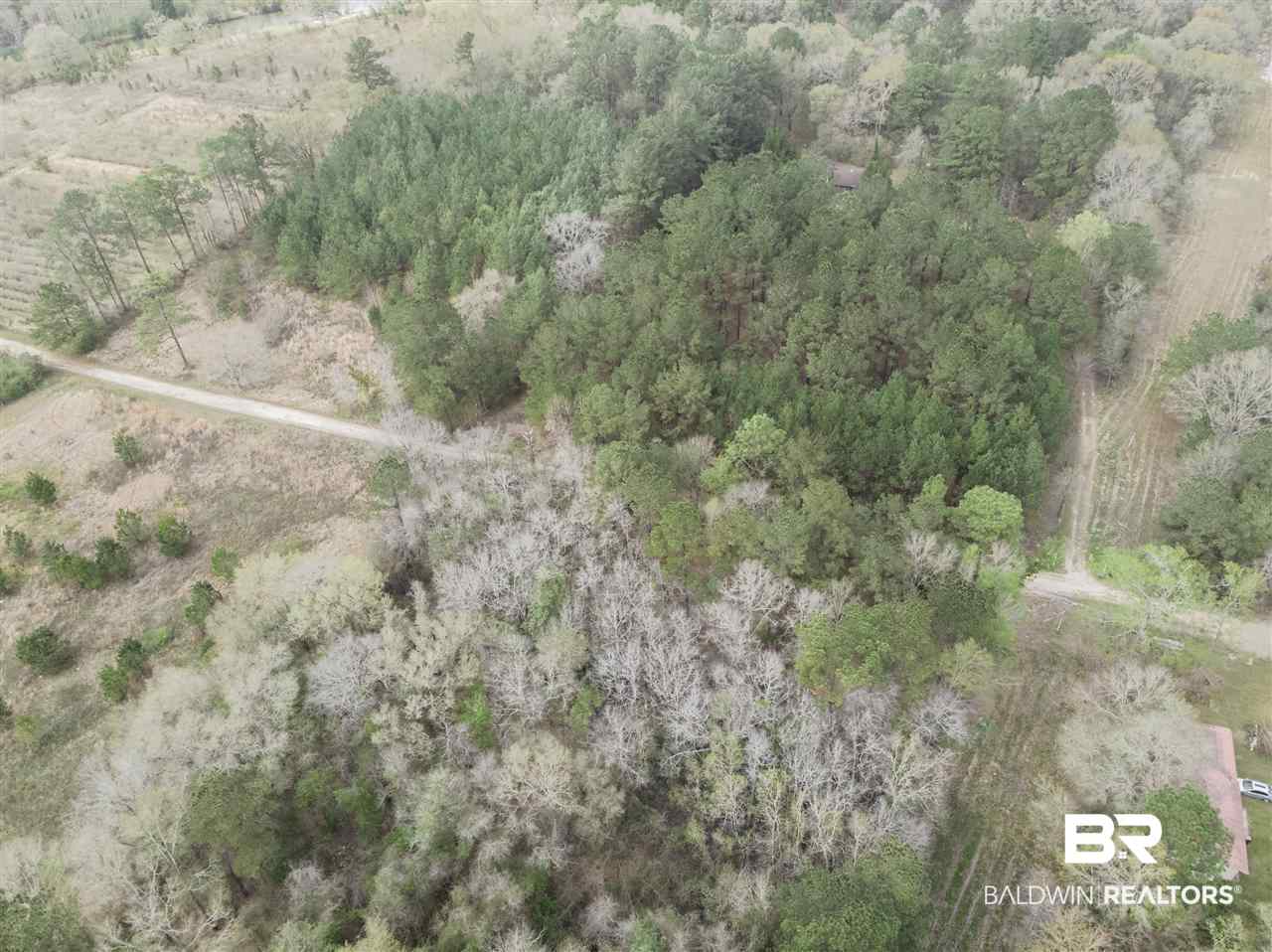 1000 Grimsley Road Creola, AL 36525 - Photo 6 of 15