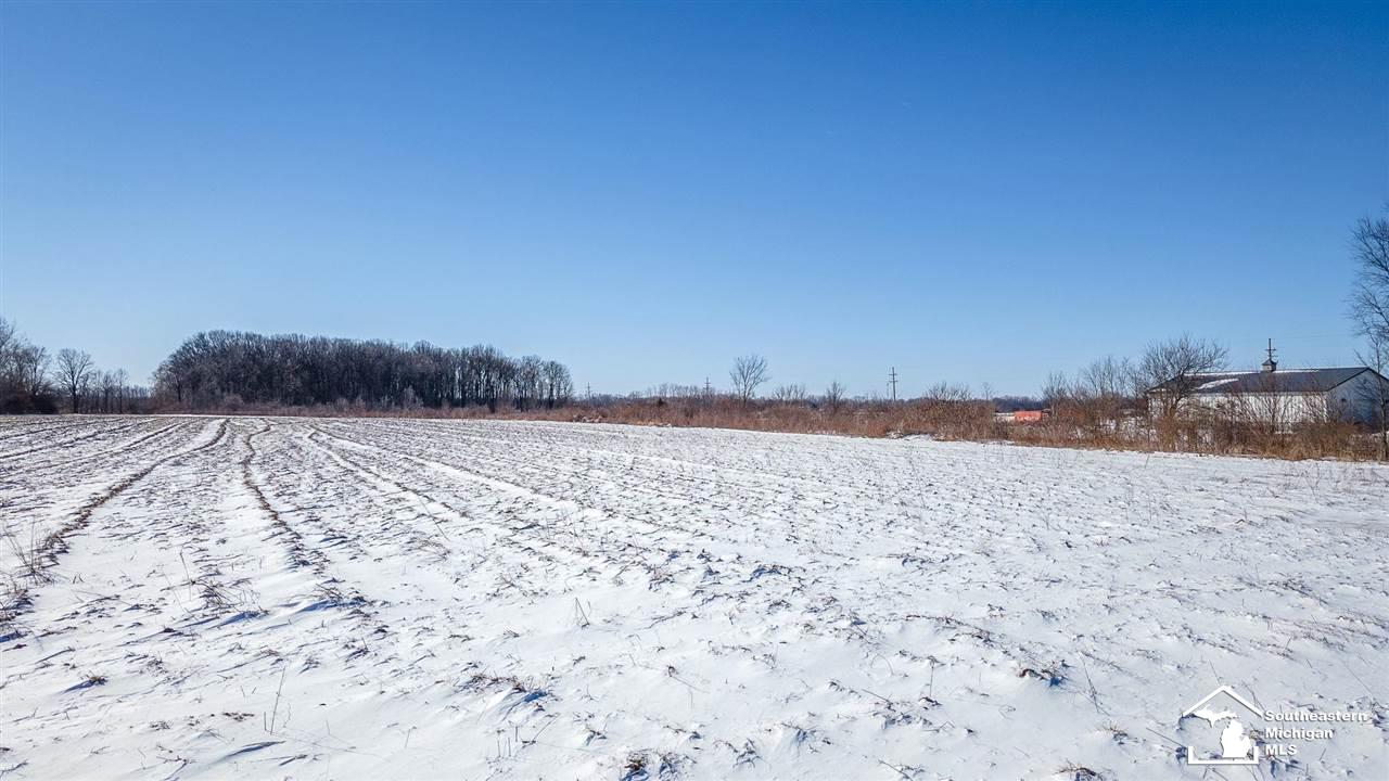 0 West Labo Road Carleton, MI 48117 - Photo 5 of 10