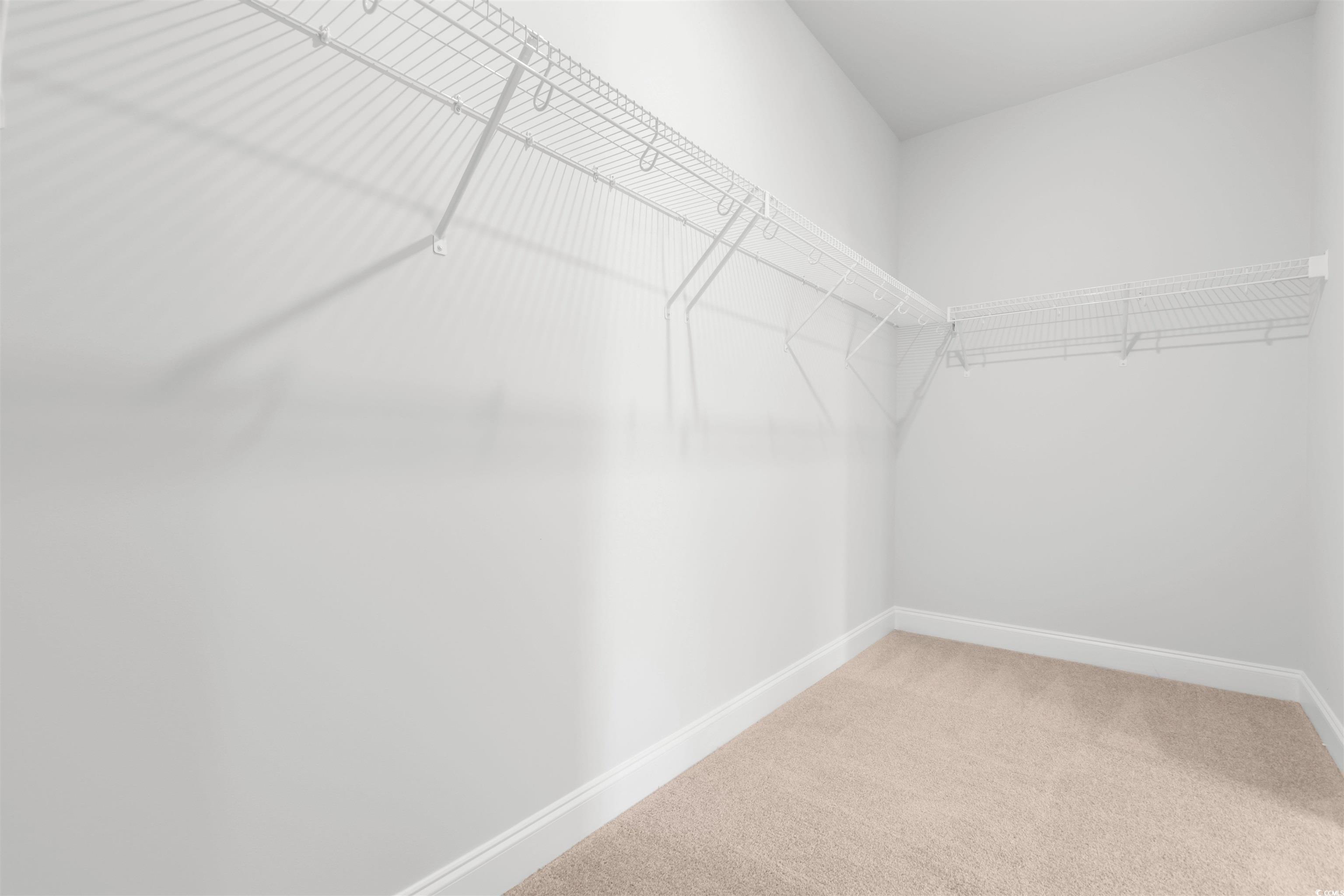 2427 Campton Loop Conway, SC 29527 - Photo 26 of 40 Walk in closet with carpet