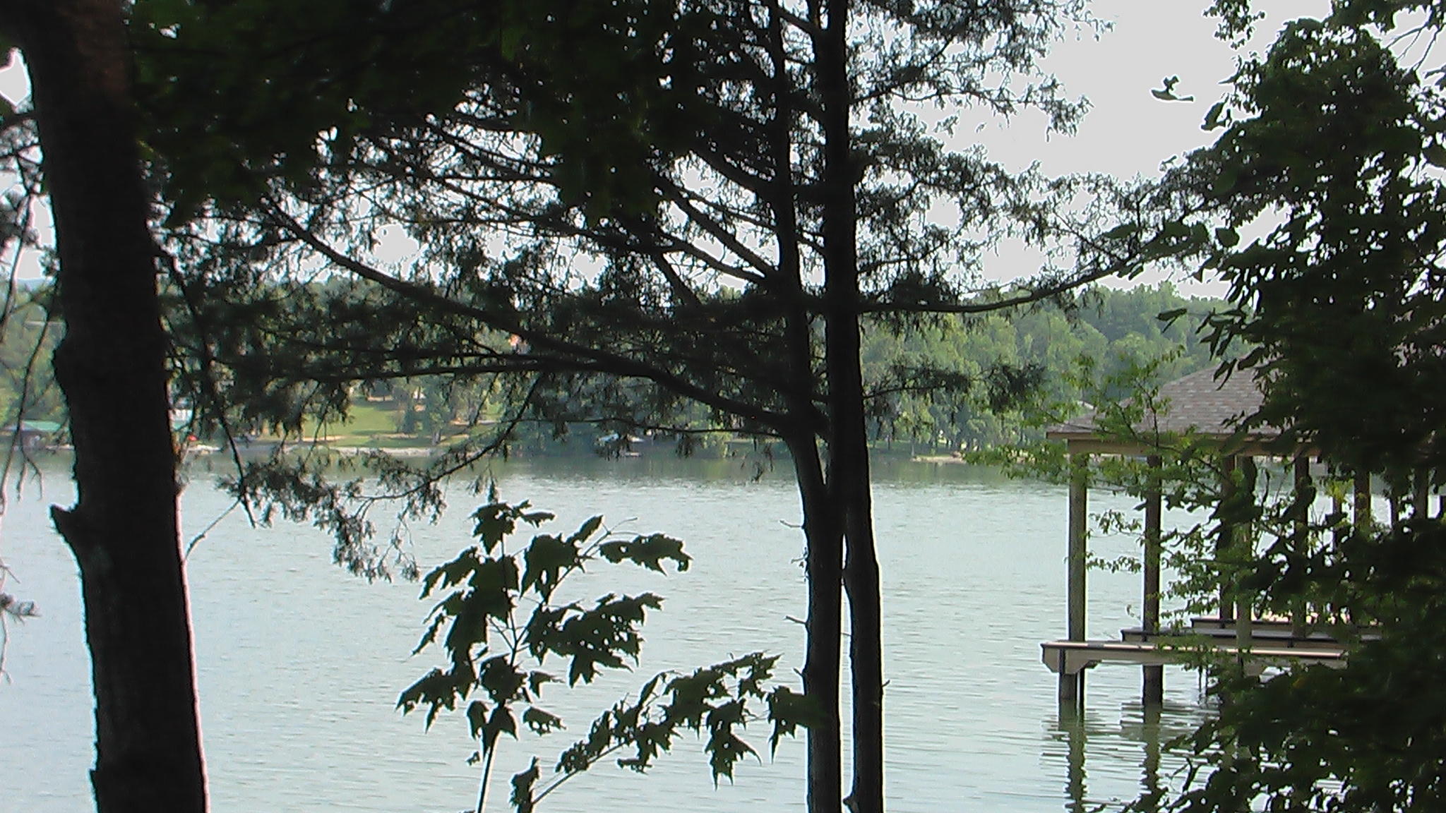 Lot #19 Spring Crossing Dr Spring, Unit 19 Spring City, TN 37381 - Photo 12 of 15 Lake view