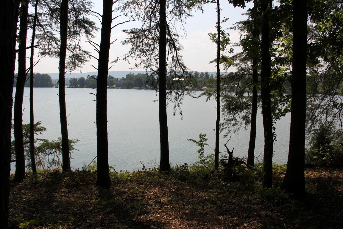 Lot #19 Spring Crossing Dr Spring, Unit 19 Spring City, TN 37381 - Photo 3 of 15 lot 19 spring crossing Lake View 2 (Medi