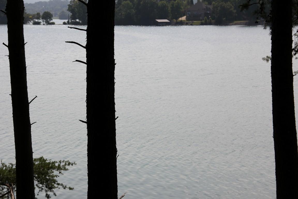 Lot #19 Spring Crossing Dr Spring, Unit 19 Spring City, TN 37381 - Photo 10 of 15 lot 19 spring crossing Lake View 5 (Medi