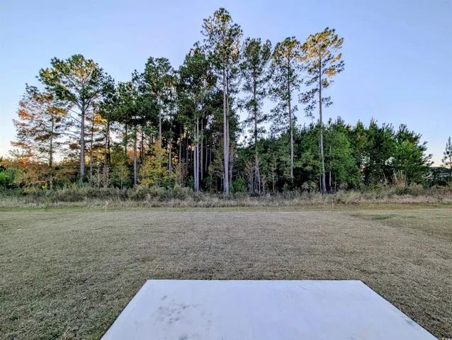 $2,025 | 1109 Lauryn Oak Loop, Longs, SC 29568