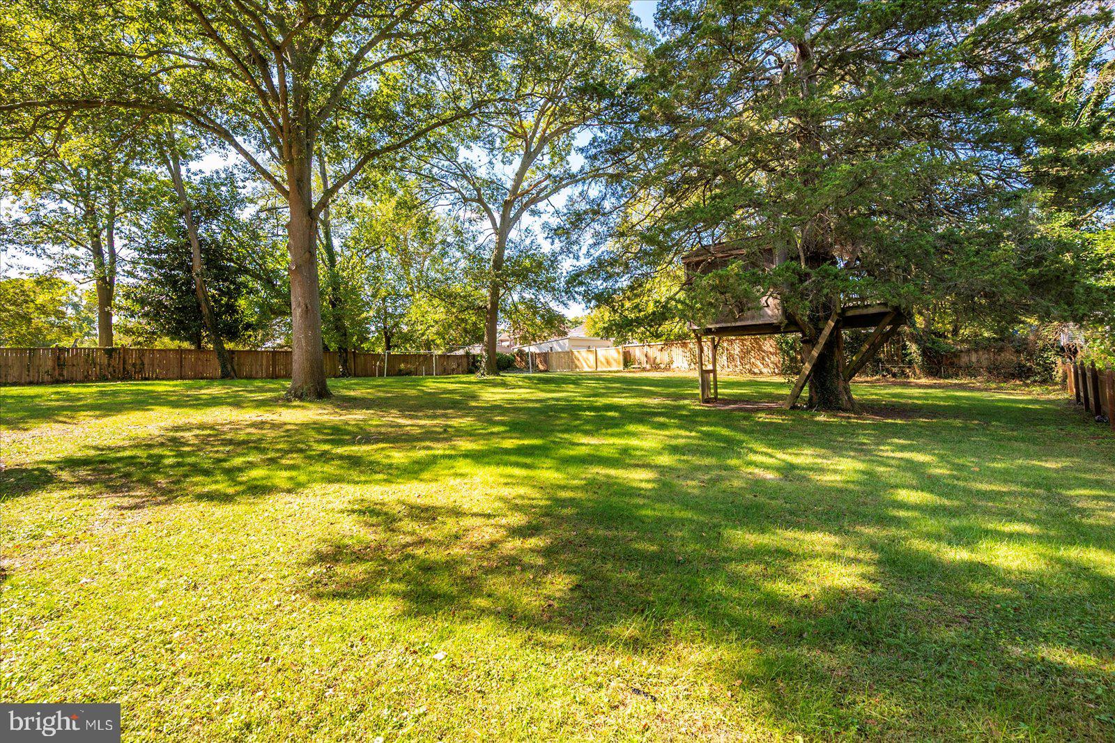 302 Middle Boulevard Salisbury, MD 21801 - Photo 78 of 102 Back Yard
