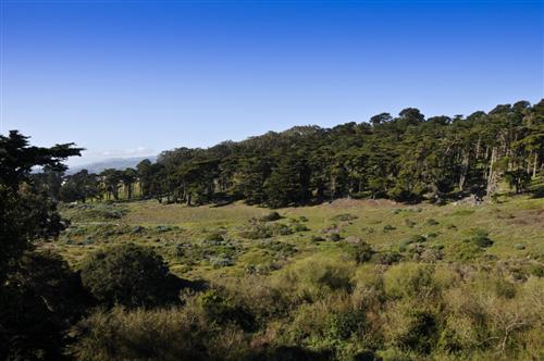 2 18th Avenue San Francisco, CA 94121 - Photo 3 of 29 No. Two Eighteenth Avenue Outstanding views from every main room on all four levels of the house,cul-de-sac makes it safe place for children to play outside, quiet and one feels in touch with nature while living in the city.