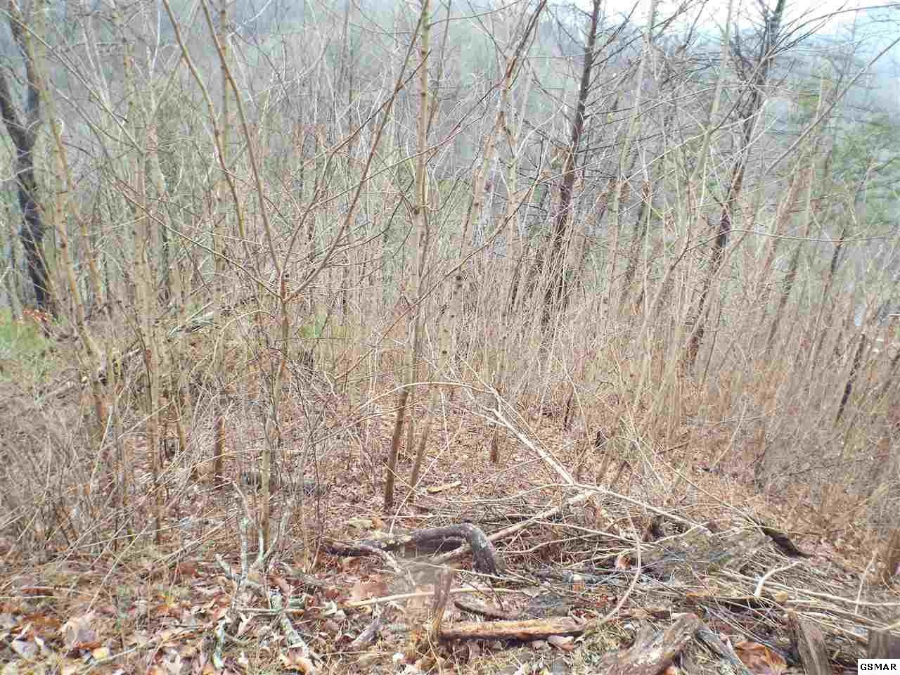 0 Loop Road Gatlinburg, TN 37738 - Photo 7 of 9