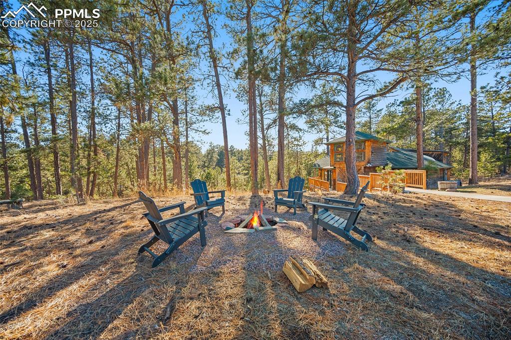 11855 Grandin Point Elbert, CO 80106 - Photo 32 of 42 a view of a park with bench and trees