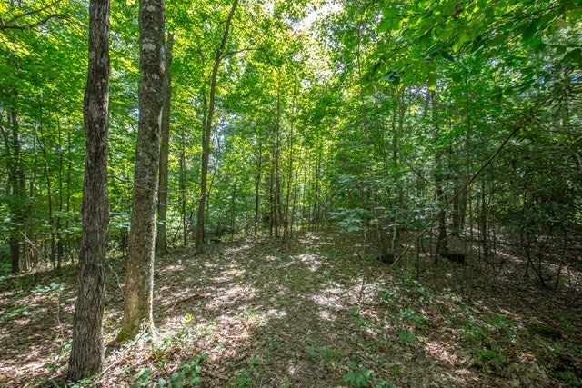 406 Gap Of Ridge Road Wytheville, VA 24382 - Photo 9 of 34 Gallery Image 9