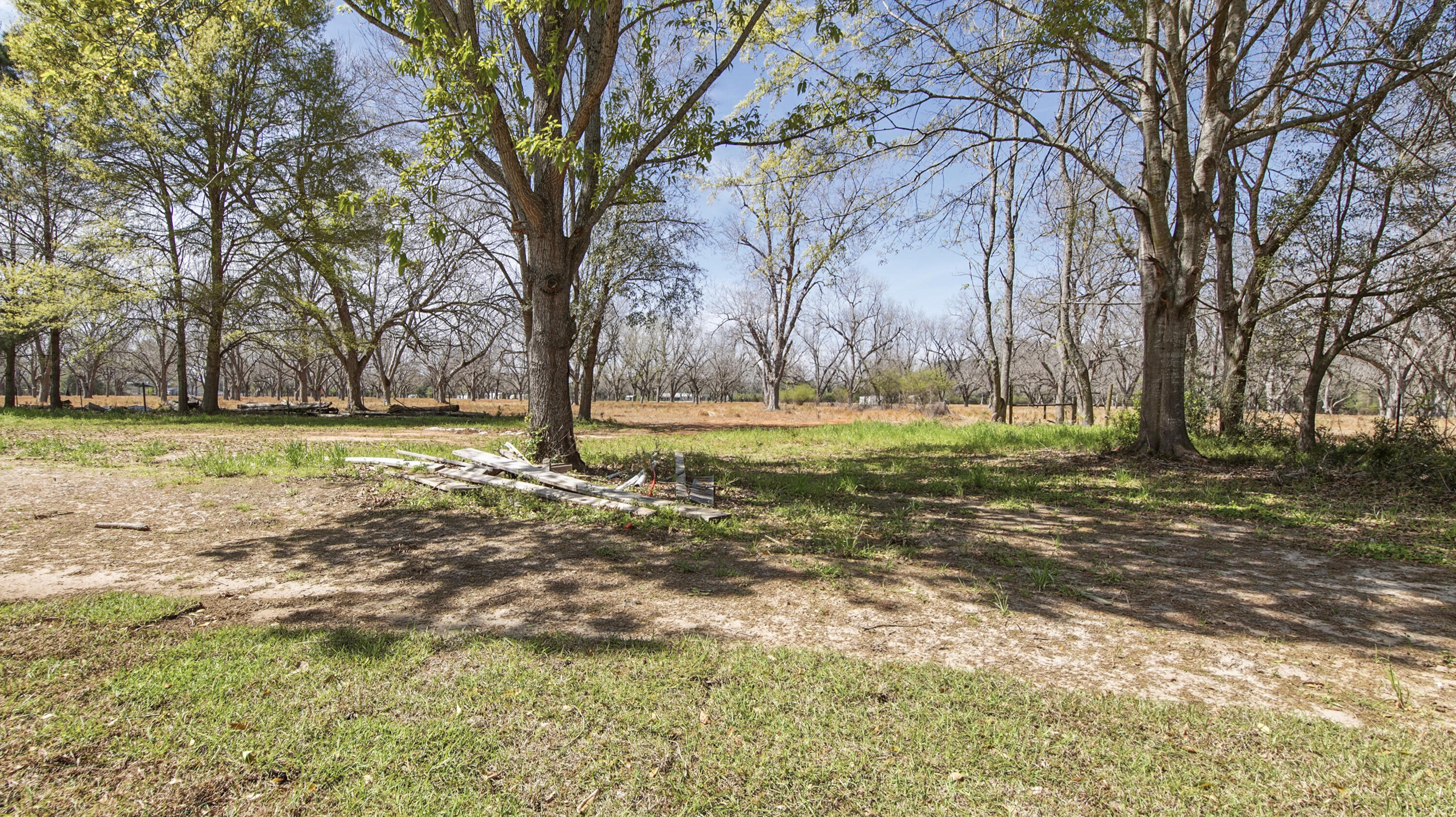 1963 Marsha Road Florala, AL 36442 - Photo 24 of 27 DSC02114