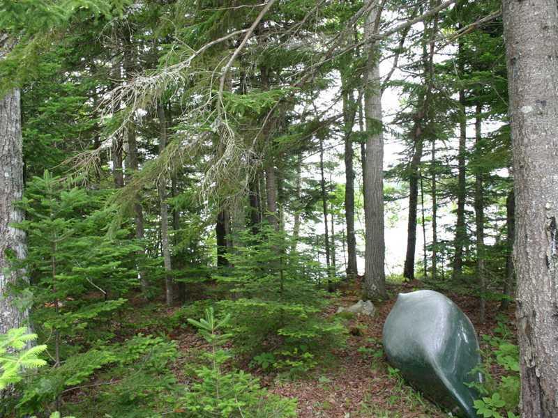 3 Morang Cove Road Lubec, ME 04652 - Photo 24 of 33 Land.