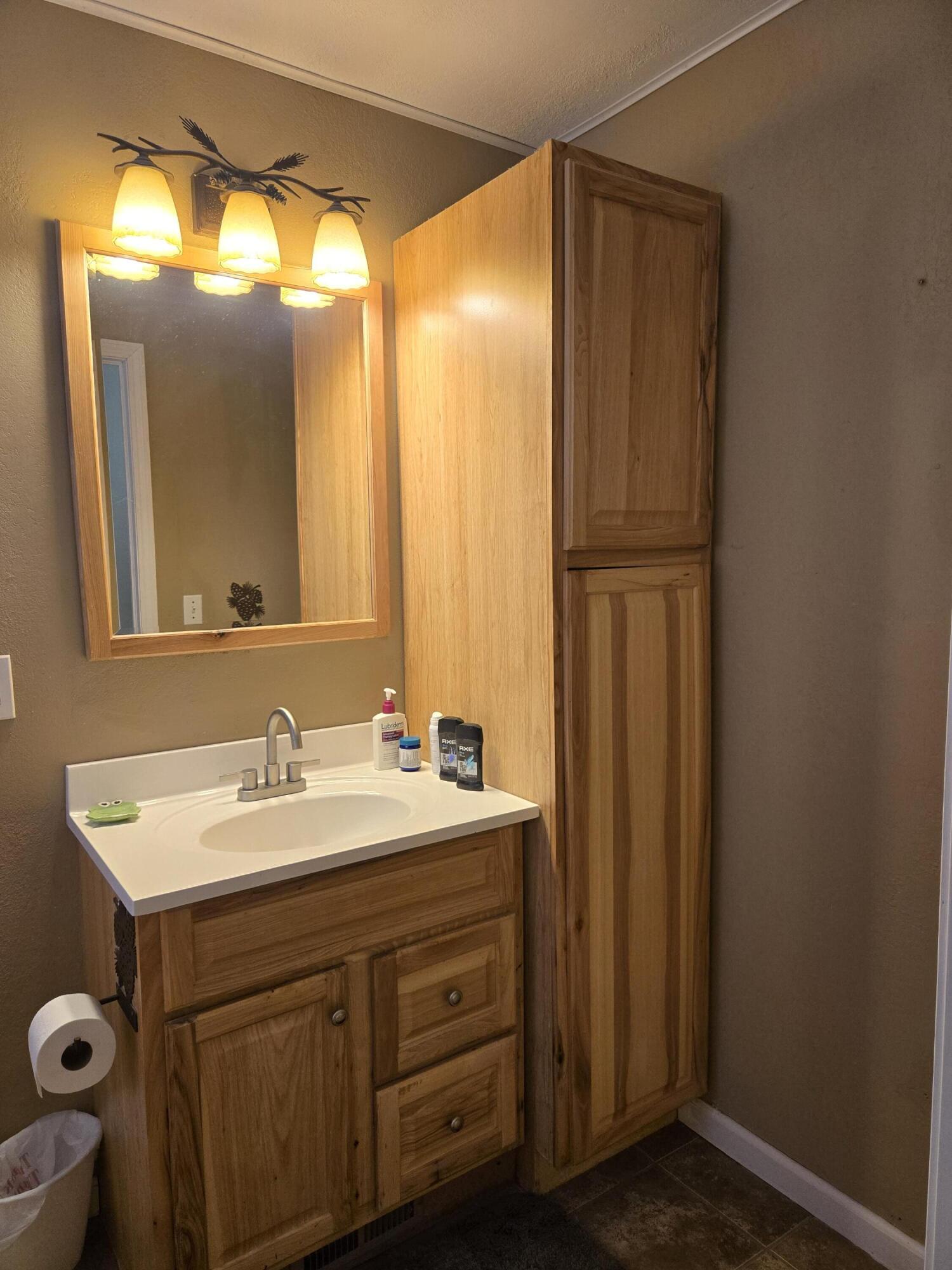 4221 Mockingbird Circle Farwell, MI 48622 - Photo 15 of 56 20260108_115058