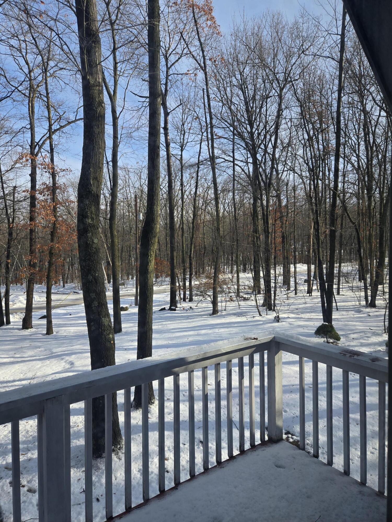 4221 Mockingbird Circle Farwell, MI 48622 - Photo 28 of 56 20260108_120513