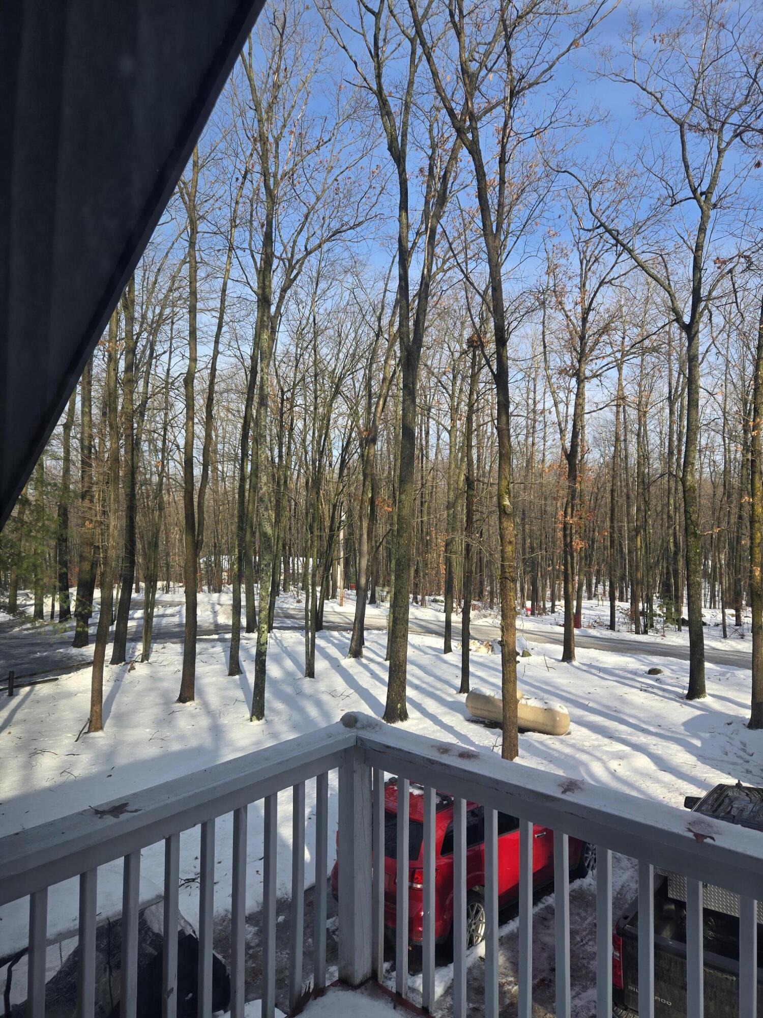 4221 Mockingbird Circle Farwell, MI 48622 - Photo 29 of 56 20260108_120523