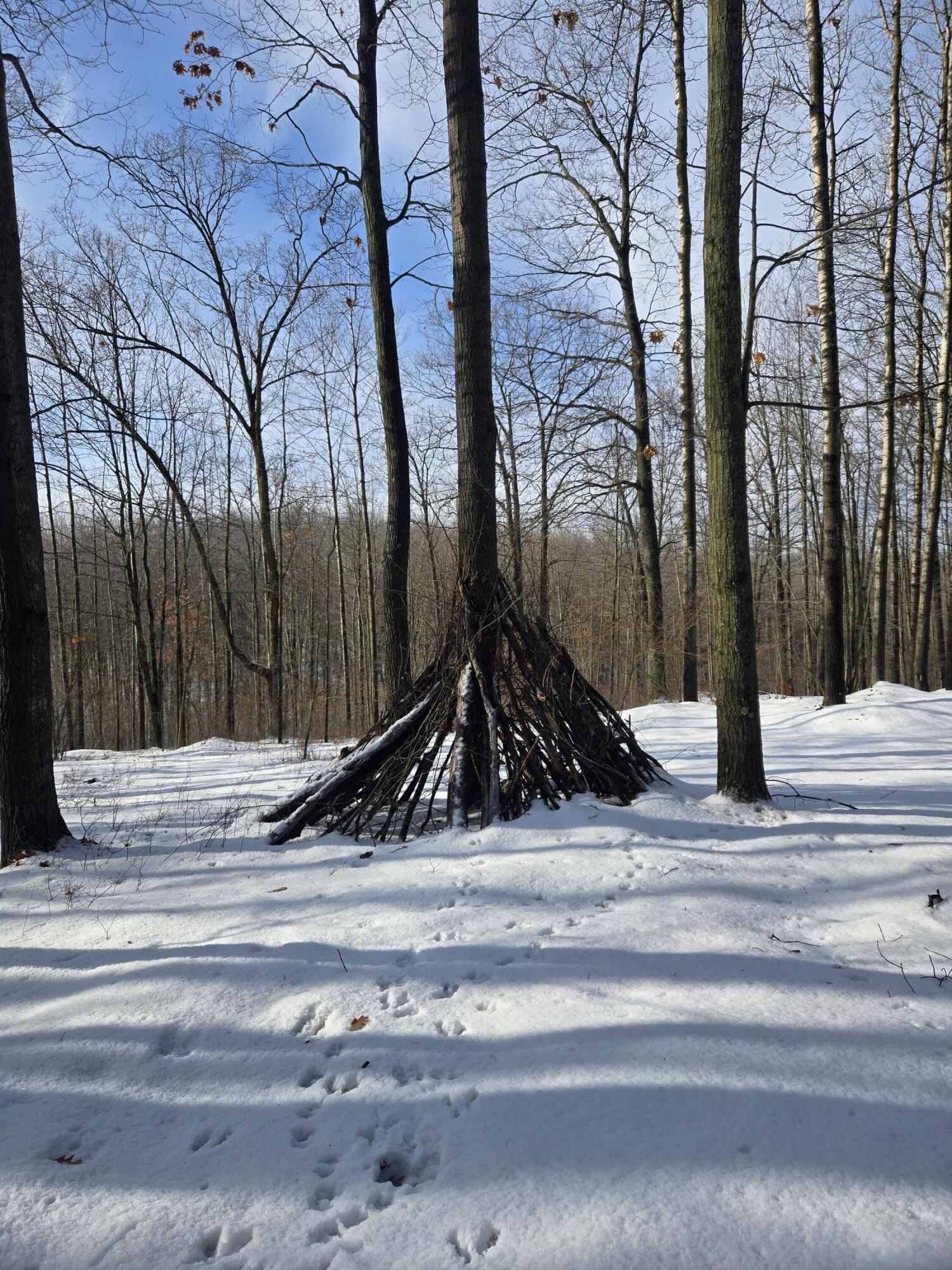 4221 Mockingbird Circle Farwell, MI 48622 - Photo 37 of 56 20260108_122342