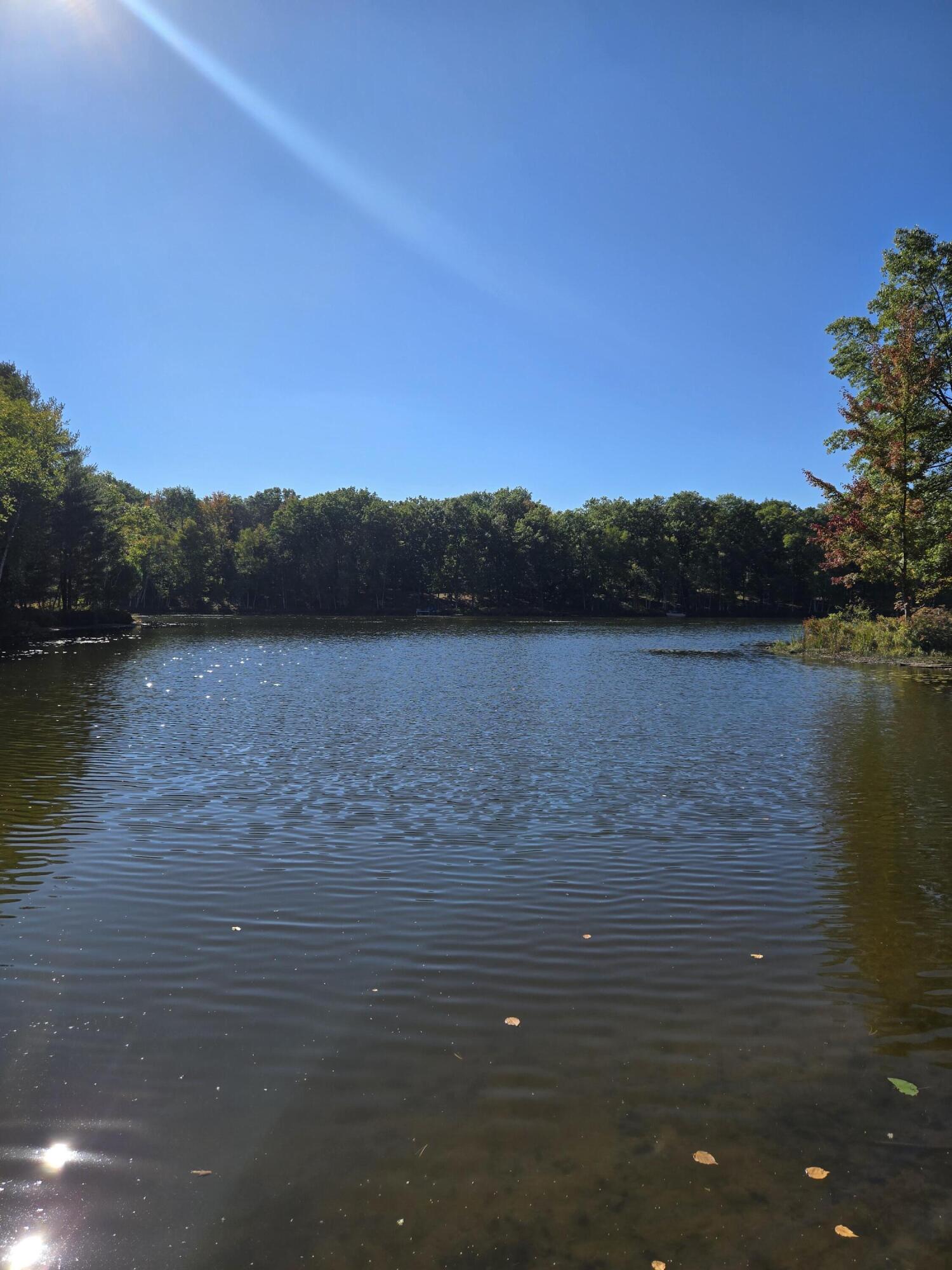 4221 Mockingbird Circle Farwell, MI 48622 - Photo 45 of 56 20250929_153638