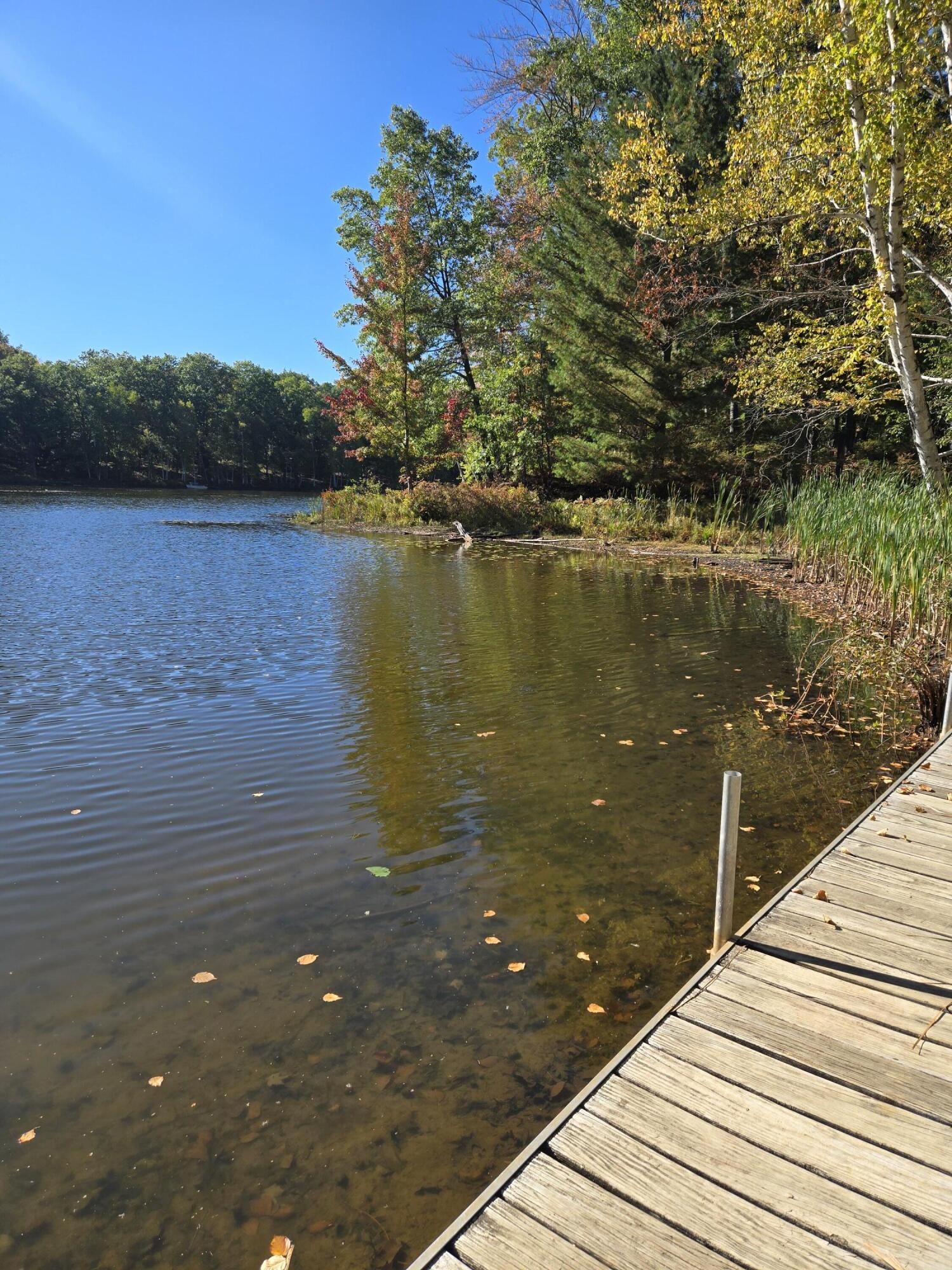 4221 Mockingbird Circle Farwell, MI 48622 - Photo 46 of 56 20250929_153644