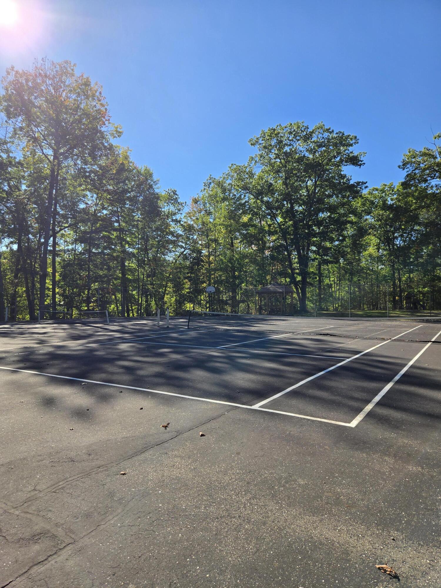 4221 Mockingbird Circle Farwell, MI 48622 - Photo 54 of 56 20250929_160056