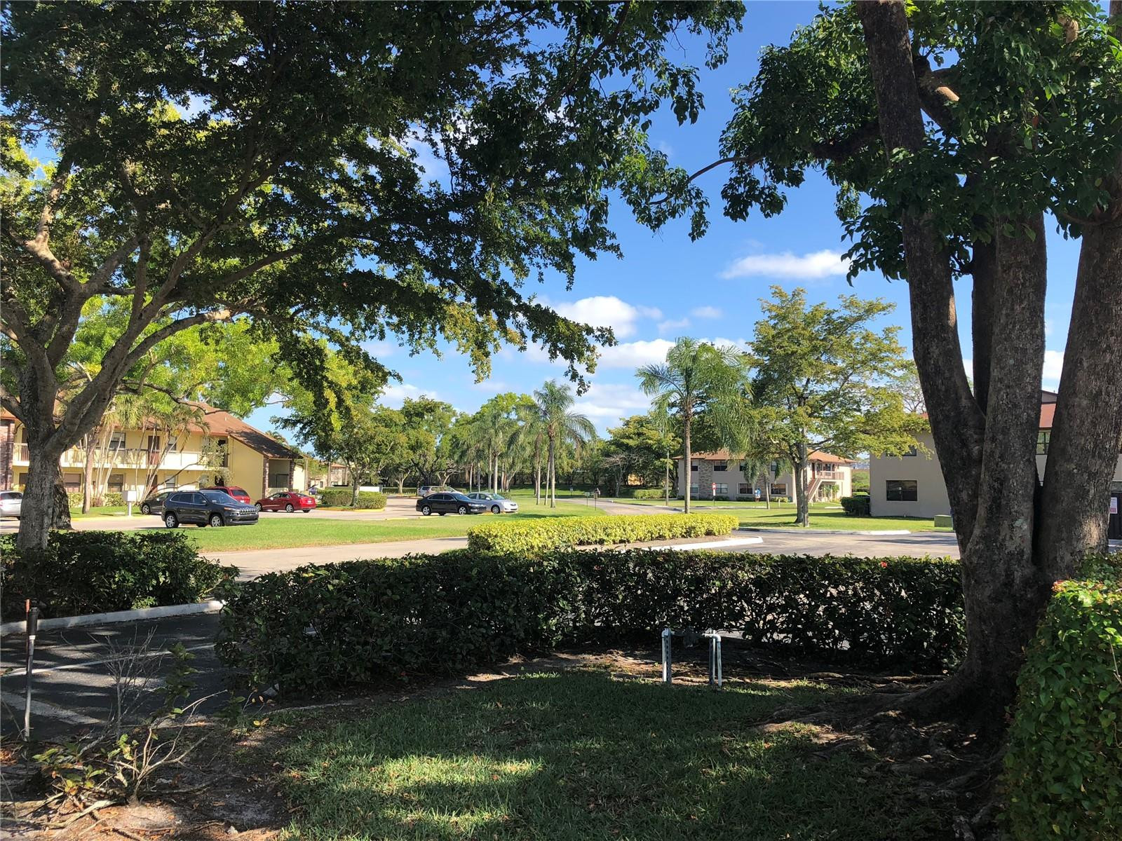 10053 Winding Lake Road, Unit 104 Sunrise, FL 33351 - Photo 33 of 44 a view of a park