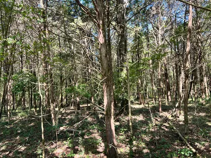 $1,750,000 | 3680 Clark Road, Lewisburg, TN 37091